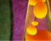 An orange Lava Lamp on Earth, demonstrating how gravity pulls cooled wax downward—a process that would fail in zero gravity.